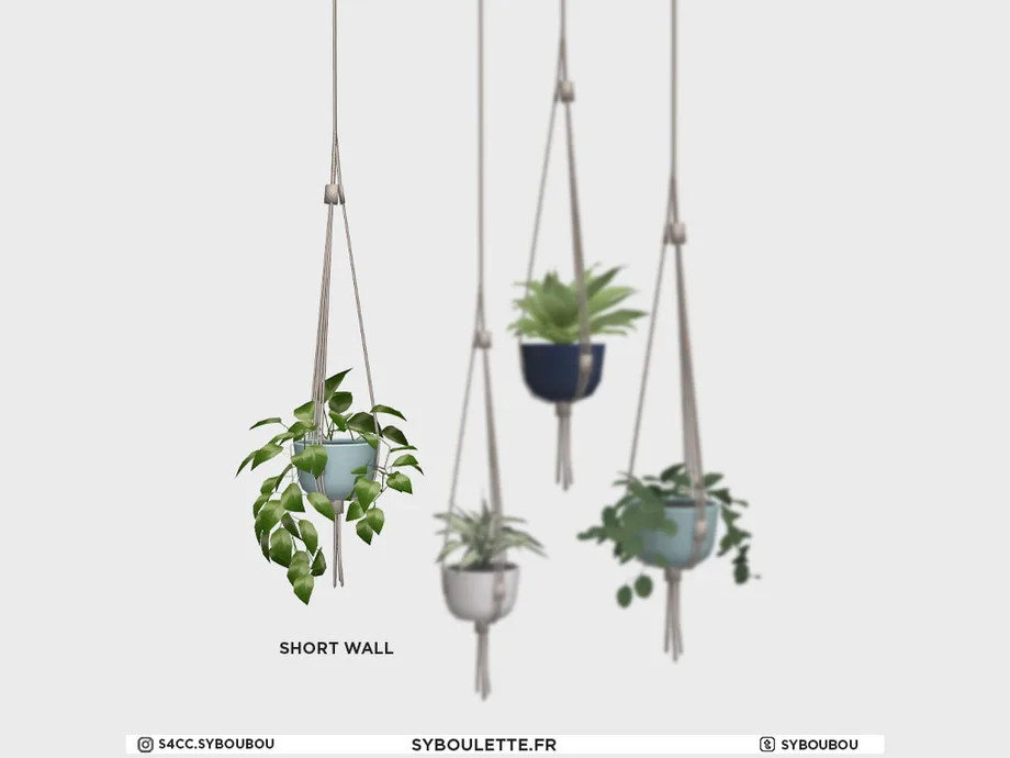 Four hanging plants, three blurred out and one very clear. They're all ceramic pots in different shades of blue hung from cream macramé. They're all small green plants, with the one of the left hanging droopy green leaves that hang over the side of the pot.