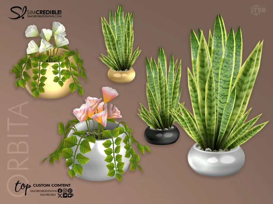 Five plants from the Orbital plant set by Simcredible designs on The Sims Resource. Three spider plants in flat round planters are on the right in gold, black, and silver, and on the left are two round planters - one gold, one silver - with white and pink flowers.